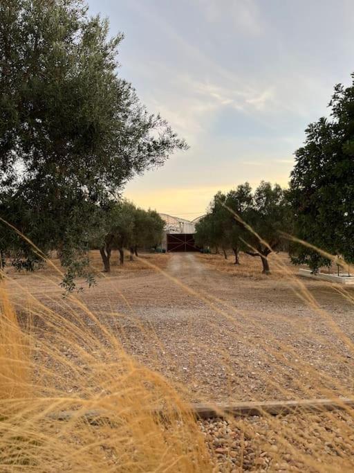 Casa vacanze Quinta Da Alfarrobeira Peaceful Countryside Distretto di Faro