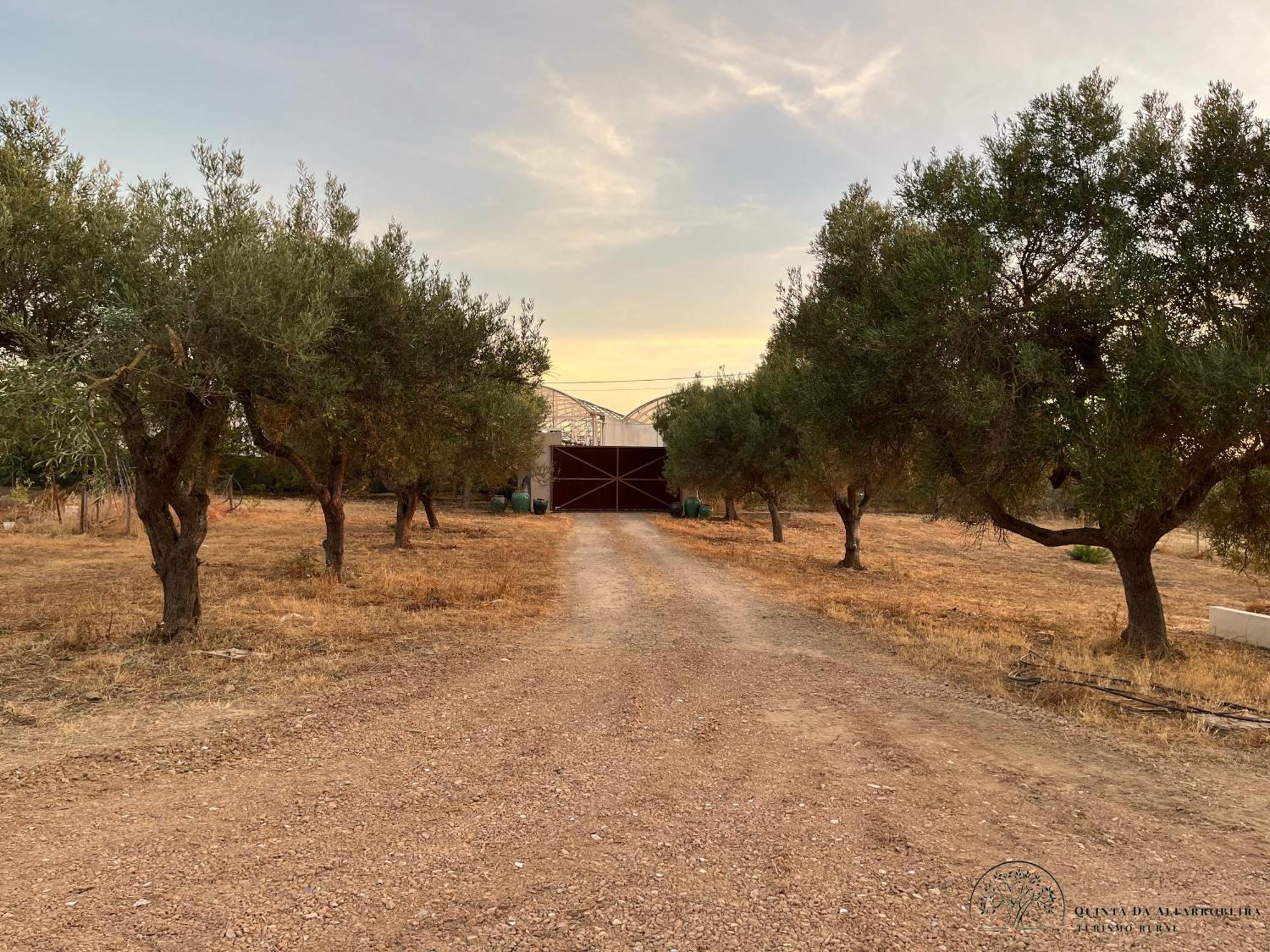Quinta Da Alfarrobeira Peaceful Countryside Casa vacanze