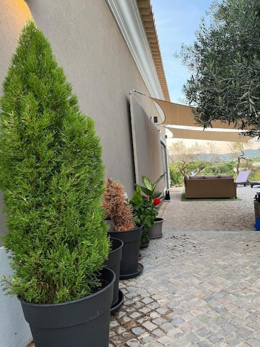 Vakantiehuis Quinta Da Alfarrobeira Peaceful Countryside FAO